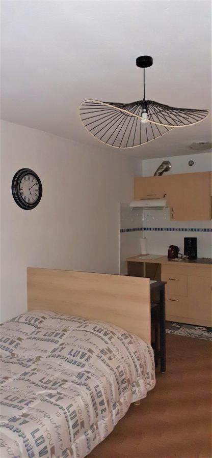 Apartmán Agreable Logement Proche De La Gare Et Du Polygone Béziers Exteriér fotografie